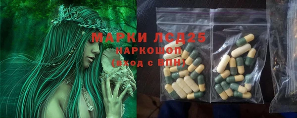 ПСИЛОЦИБИНОВЫЕ ГРИБЫ Беломорск