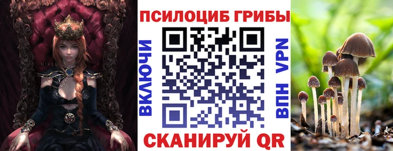 Псилоцибиновые грибы GOLDEN TEACHER  где купить   Удачный 